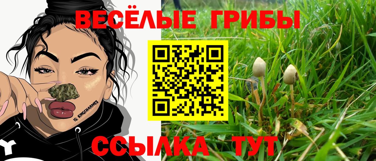 Зима  Галлюциногенные грибы мухоморы  Вход с VPN 
