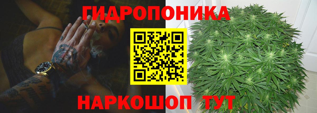 Канабис White Widow  Бошки Шишки конопля  Зима  Шишки марихуана White Widow  Вход с VPN 